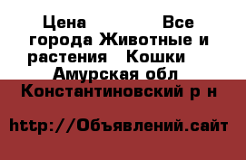 Zolton › Цена ­ 30 000 - Все города Животные и растения » Кошки   . Амурская обл.,Константиновский р-н